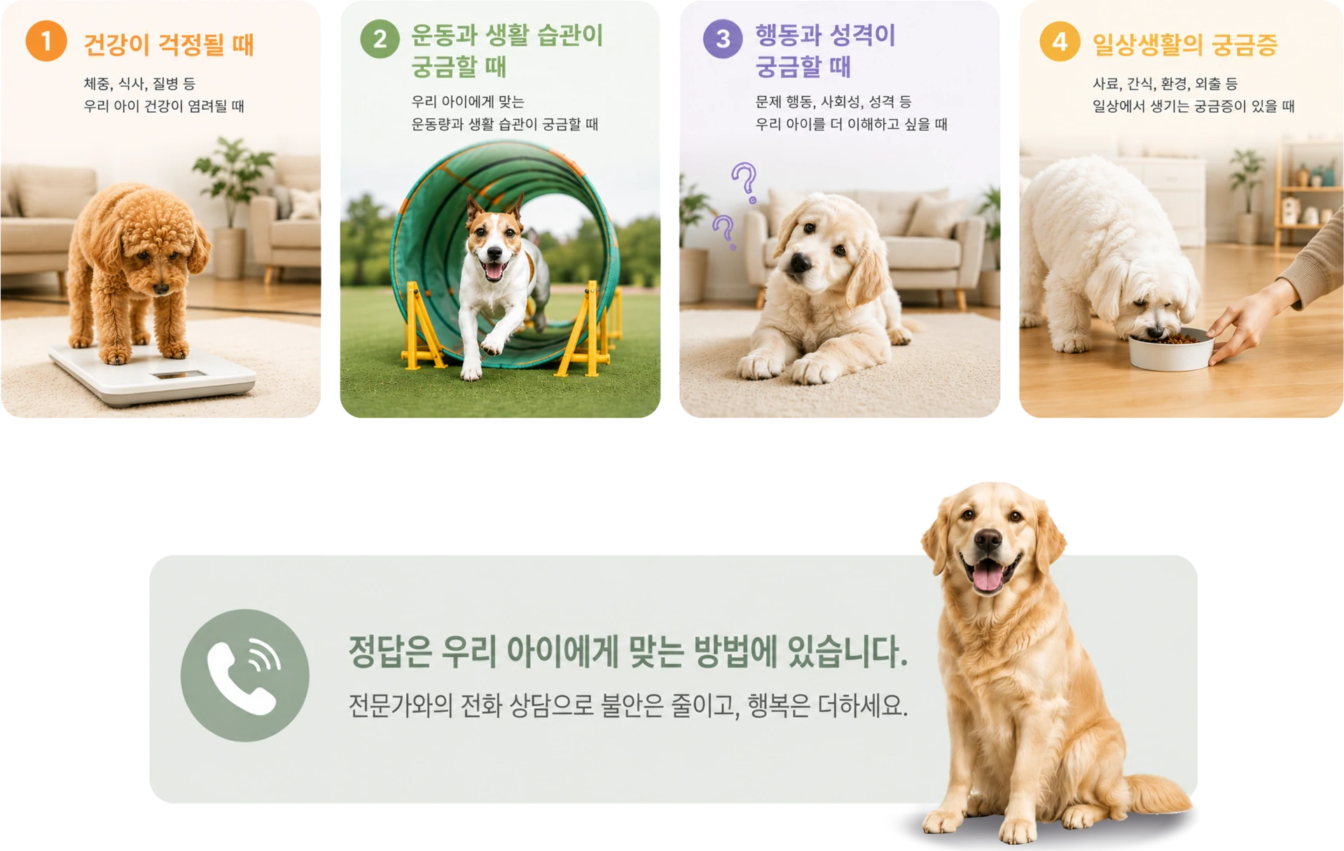 반려견 양육 고민 유형